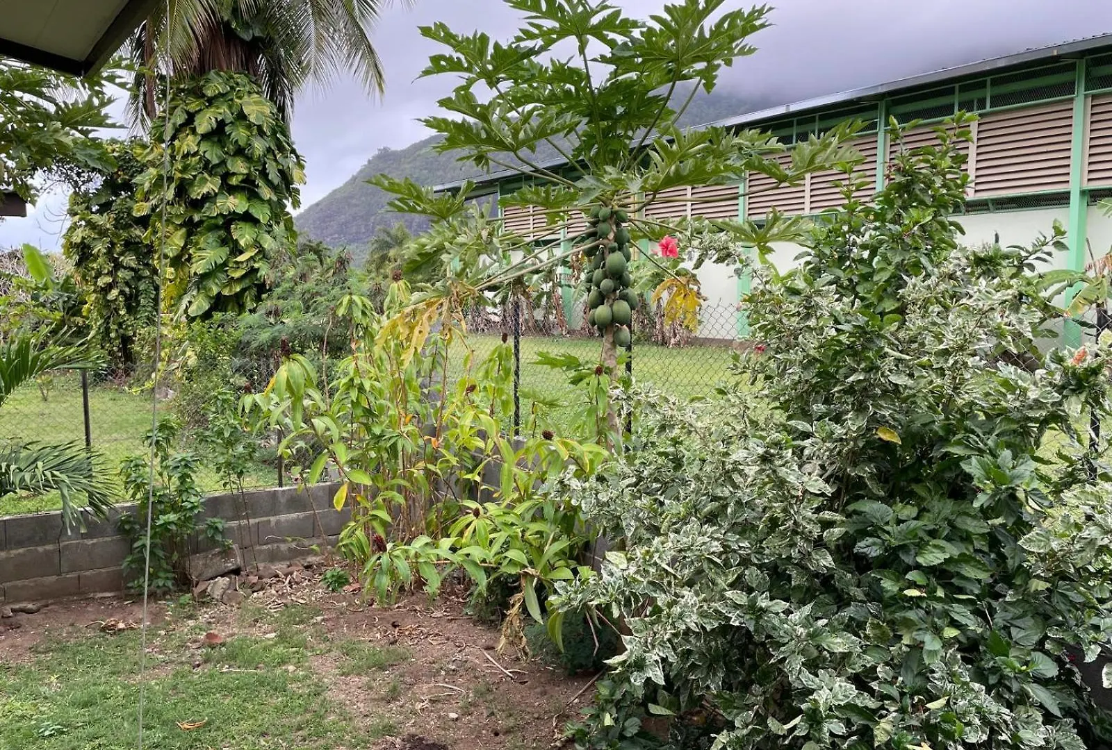 Ohana Papetoai Holiday home